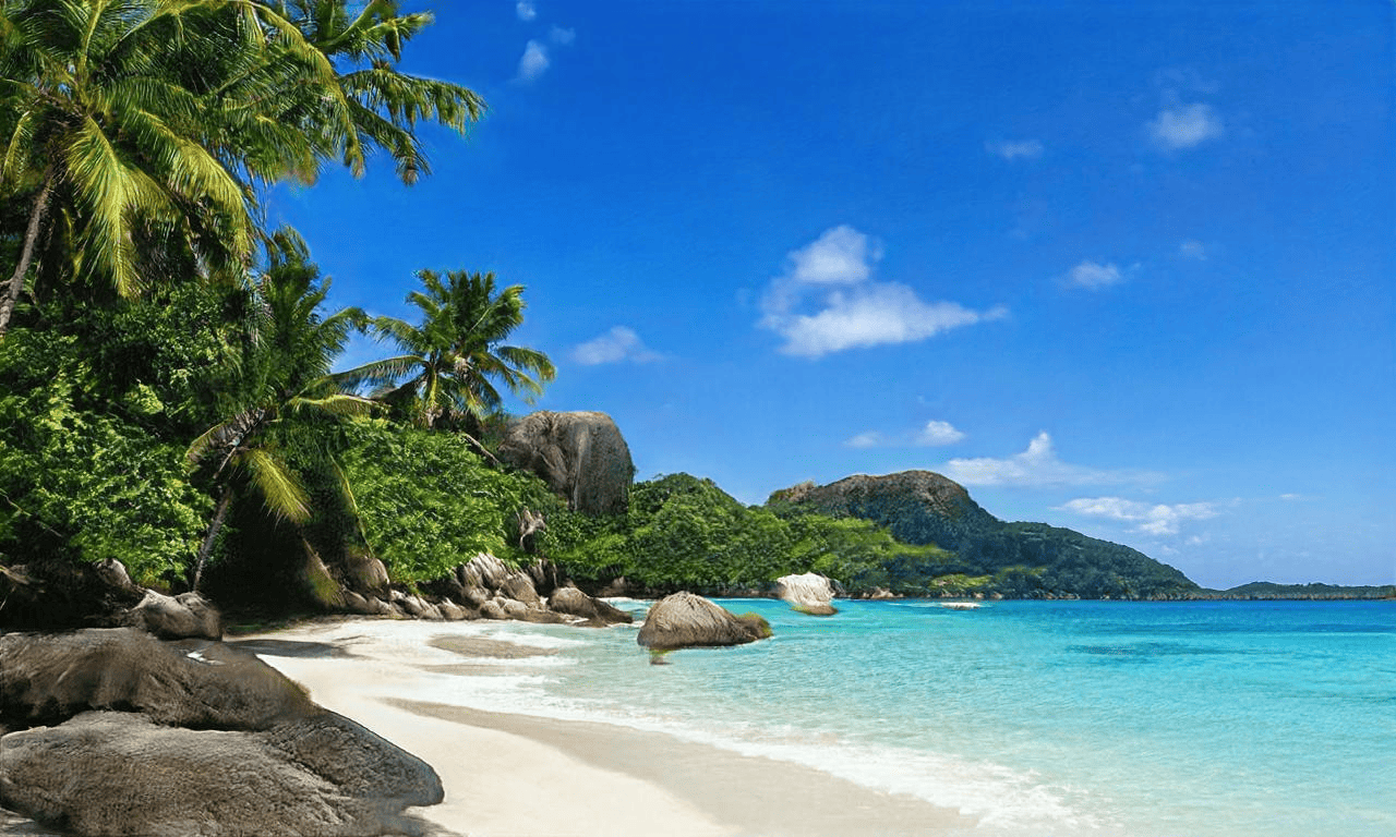 Relax and grow your affiliate marketing business